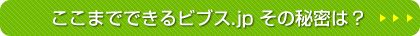 ここまでできるビブス.jp その秘密は？