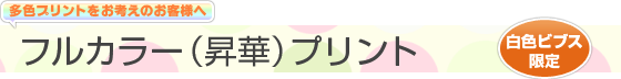 フルカラー（昇華）プリント