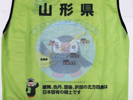 色鮮やかなキャラクターロゴの昇華ビブス(No.935)